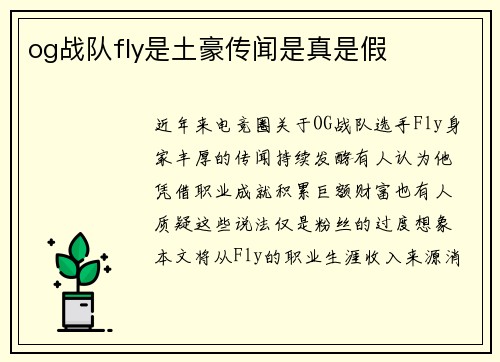og战队fly是土豪传闻是真是假